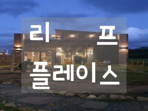 [용인 원삼] #리프플레이스 솔직후기(이색카페, 아이들 체험학습, 동물, 곤충, 파충류)