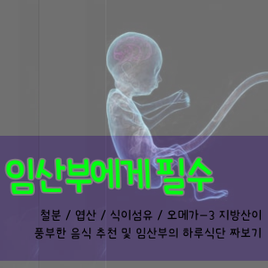 임산부 필수 철분, 엽산, 식이섬유, 오메가-3 지방산이 중요한 이유와 음식 추천 & 임산부의 하루 식단 짜보기