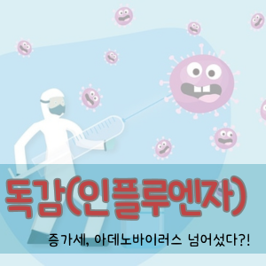 독감(인플루엔자) 증가세, 아데노바이러스 넘어섰다?!