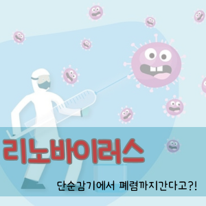 리노바이러스, 단순감기에서 폐렴까지간다고?!