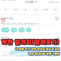 10개월아기 계란알러지